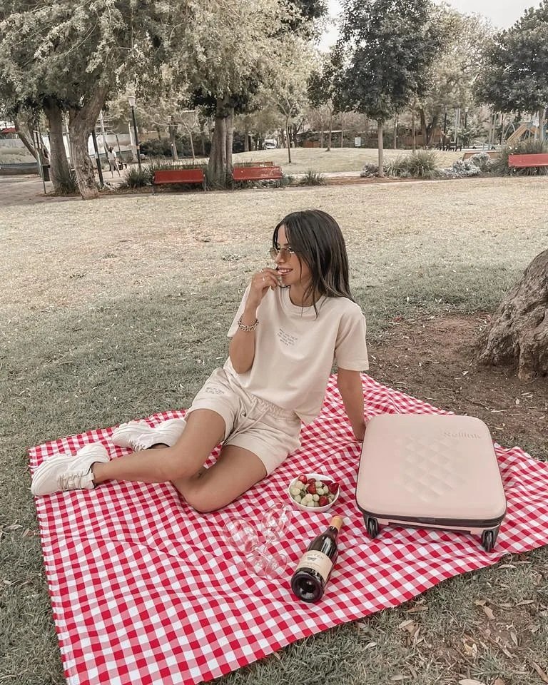 Rollink case, Picnic